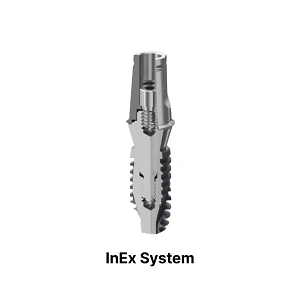 InEx.webp