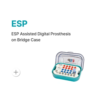 06. ESP Assisted Digital Prosthesis on Bridge Case.webp